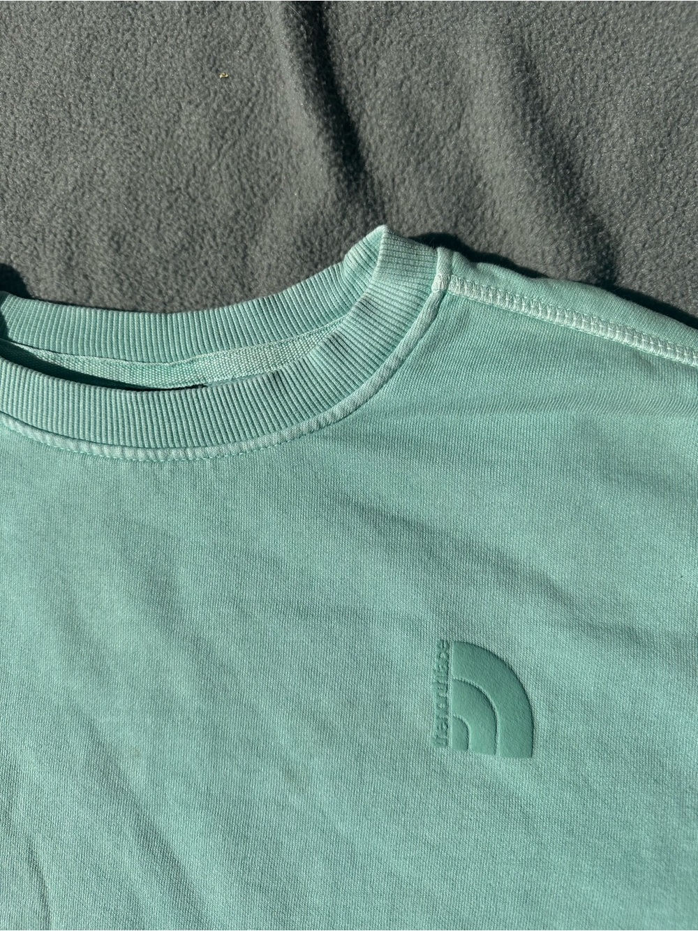 The North Face Seafoam Green Crew Sweatshirt
